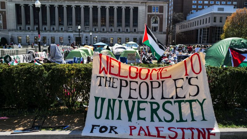 pro-Palestine protests